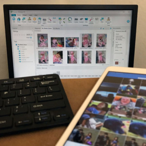 Screens of photos sorting software